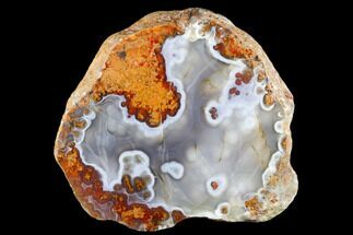 7.4" Polished Agate Nodule - Kerrouchen, Morocco - Crystal #181333