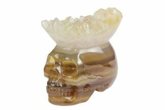 Polished Agate Skull with Quartz Crown #181961