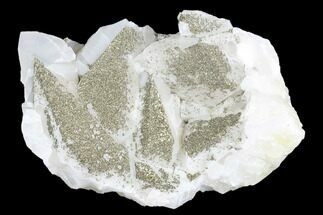 Sparkling Pyrite Crystals on Calcite - China #182494