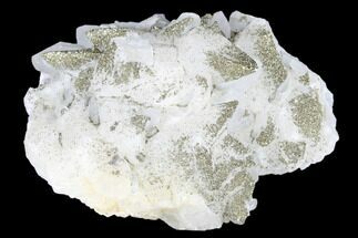 Sparkling Pyrite Crystals on Calcite - China #182495