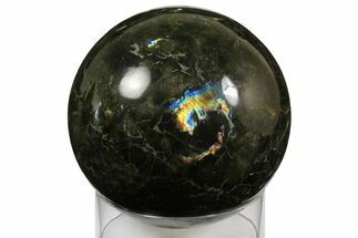 Huge, Polished Labradorite Sphere ( lbs) - Madagascar #182874