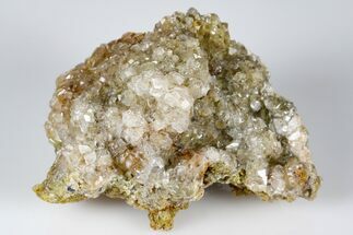 Lustrous Calcite Crystal Cluster - Cocineras Mine, Mexico #183775