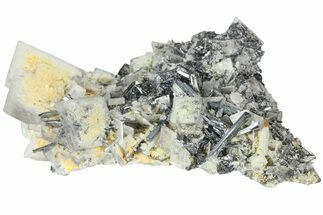 1.7" Metallic Stibnite Crystal Spray with Barite - Jiangxi, China - Crystal #183907