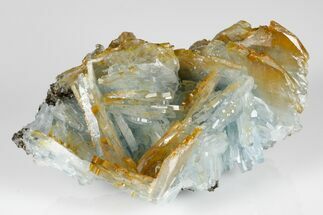 Lustrous, Bladed Blue Barite Crystal Cluster - Morocco #184298