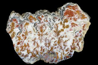 4.5" Wingate Pass Plume Agate Slab - California - Crystal #184795