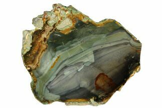 5.3" Polished Slab of Blue Mountain Jasper - Oregon - Crystal #184889