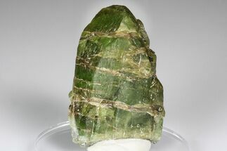 Green Olivine Peridot Crystal Cluster with Magnetite - Pakistan #185288