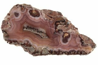 3.6" Polished Banded Laguna Agate - Mexico - Crystal #185191