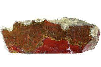 Red, Indonesian Plume Agate Section - North Sumatra, Indonesia #185363