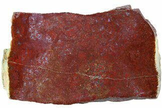 5.4" Red, Indonesian Plume Agate Slab - North Sumatra, Indonesia - Crystal #185371
