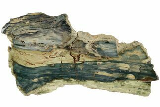 Gary Green Jasper (Larsonite) Bog Wood Slab - Oregon #185131
