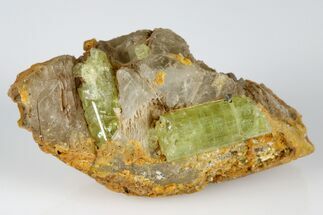 Lustrous, Yellow Apatite Crystals In Calcite - Morocco #185454