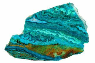 6.1" Polished Banded Chrysocolla and Malachite - Bagdad Mine, Arizona - Crystal #185905