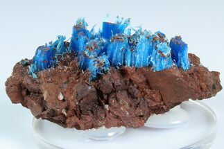 Vibrant Blue Chalcanthite - Planet Mine, Arizona #185979