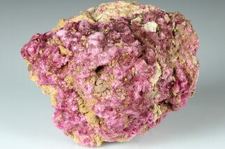 Fibrous, Magenta Erythrite Crystal Cluster - Morocco #184296