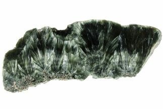 4.5" Polished Seraphinite Slab - Siberia - Crystal #183520