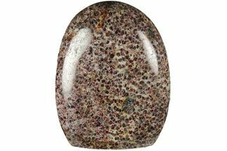 4" Free-Standing, Polished Garnetite (Garnet) - Madagascar - Crystal #186817