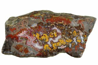 Polished Cruentus Agate Slice - Kerrouchen, Morocco #187135