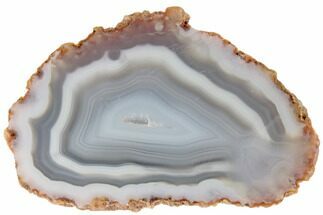 Polished Banded Agate with Wegeler Effect - Aouli, Morocco #187147