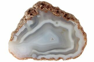 Polished Banded Agate with Wegeler Effect - Aouli, Morocco #187148