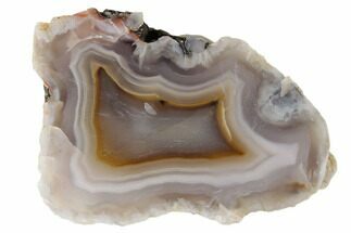 Polished Banded Agate Nodule Half - Morocco #187154