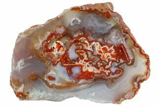 Polished Agate Nodule Section - Morocco #187057