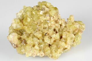 1.45" Lustrous, Yellow Topazolite Garnet Cluster - Mexico - Crystal #188260