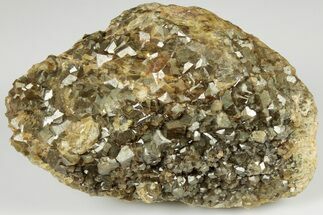4.65" Olive Topazolite Garnet Cluster - Quartzite Mountain, Arizona - Crystal #188309