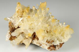Stunning, 5" Mango Quartz Crystal Cluster - Cabiche, Colombia - Crystal #188377