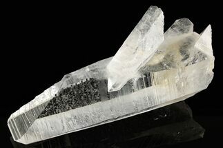 Striated Colombian Quartz Crystal Cluster - Peña Blanca Mine #189735
