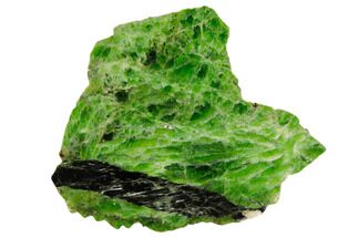 5" Vibrant, Green Polished Chrome Diopside Slab - Russia - Crystal #190187