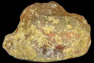 1.15" Precious Ethiopian Fire Opal (15 grams) - Crystal #190256