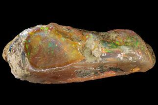 2.6" Precious, Ethiopian Fire Opal (52 grams) - Crystal #190263