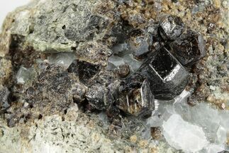 2.8" Black-Brown Garnets with Calcite - Mexico - Crystal #190809