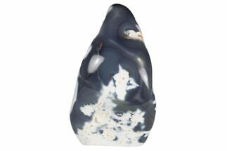 6.4" Free-Standing, Polished Orca Agate - Madagascar - Crystal #191289