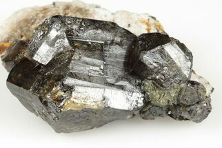 1.8" Lustrous Cassiterite Crystal Cluster - Viloco Mine, Bolivia - Crystal #192159