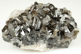 Gemmy Cassiterite Crystals With Quartz - Viloco Mine, Bolivia #192174