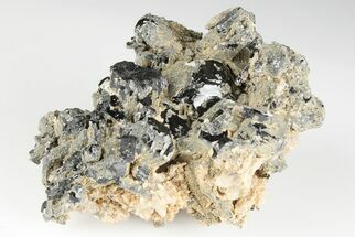 2.1" Black Tourmaline (Schorl) Crystal Cluster - Mexico - Crystal #190547
