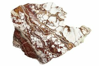6.3" Polished Wild Horse Magnesite Section - Arizona - Crystal #192816