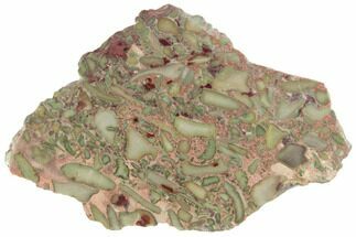 Polished Fruit Jasper Slice - India #193004
