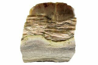 5.7" Chatoyant, Polished Pietersite Slab - Arizona - Crystal #192948