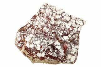 6.9" Polished Wild Horse Magnesite Slab - Arizona - Crystal #192847