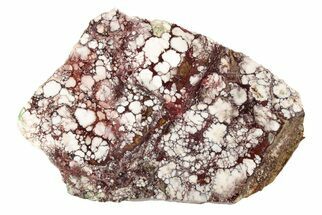 6.85" Polished Wild Horse Magnesite Slab - Arizona - Crystal #192855