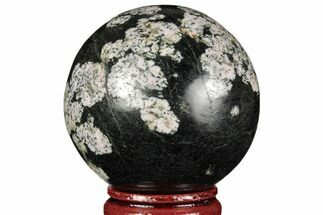 Polished Snowflake Stone Sphere - Pakistan #187519