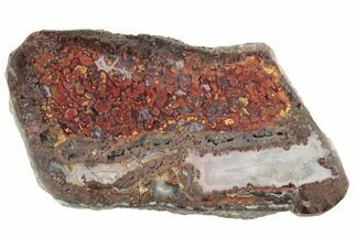 Polished Cruentus Agate Section - Kerrouchen, Morocco #187111