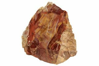 3.7" Tall Colorful, Polished Petrified Wood Stand Up - Texas - Fossil #193625