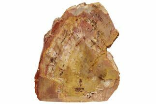 4.6" Tall Colorful, Polished Petrified Wood Stand Up - Texas - Fossil #193627