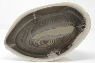 Phenomenal, 9.2" Polished, Striped Flint Section - Poland - Crystal #193538