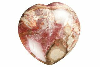 4.5" Polished Triassic Petrified Wood Heart - Madagascar - Fossil #194887