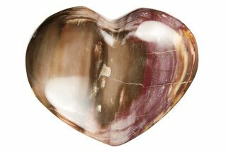 3.4" Polished Triassic Petrified Wood Heart - Madagascar - Fossil #194906